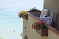 Eine Terrasse mit Meeresblick: Hotel Barsalini - Insel Elba