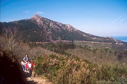 Trekking at Sant'Andrea - Elba Island