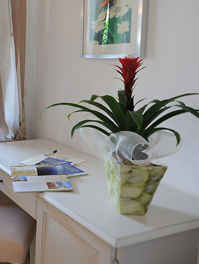 Camere vista giardino